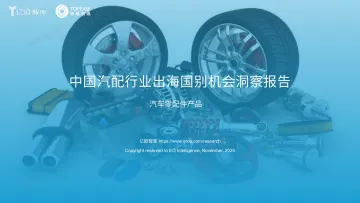 中国汽配行业出海国别机会洞察报告 1124 听光Vic