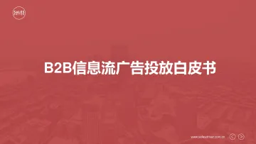 B2B信息流广告投放白皮书 听光Vic