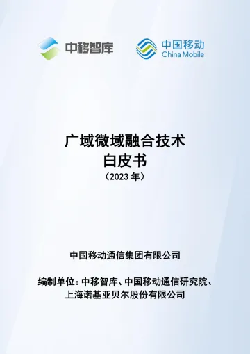 广域微域融合技术白皮书-21页-WN10