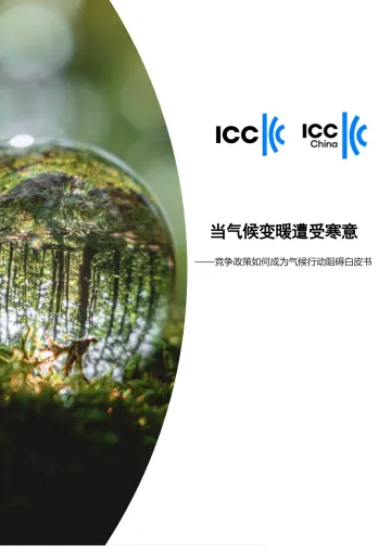 2023当气候变暖遭受寒意-竞争政策如何成为气候行动阻碍白皮书-17页-WN11