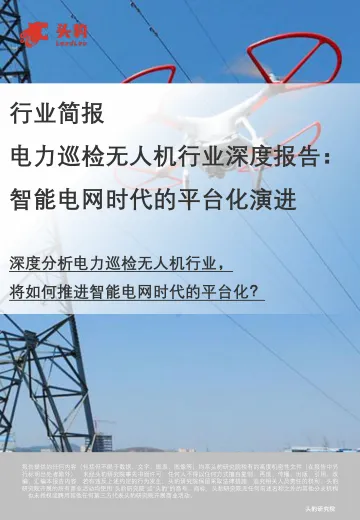 电力巡检无人机行业深度报告:智能电网时代的平台化演进-头豹研究院 听光Vic