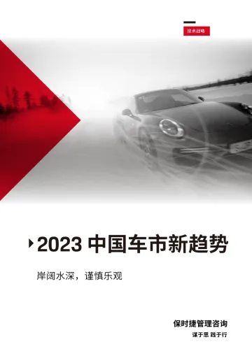 保时捷管理咨询2023中国车市新趋势白皮书-28页