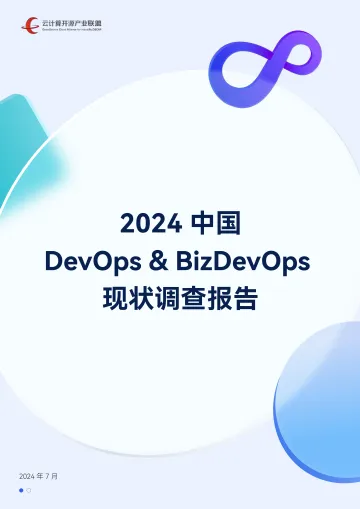 2024中国DevOps&BizDevOps现状调查报告 听光Vic_1