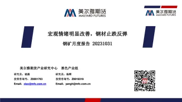钢矿月度报告:宏观情绪明显改善,钢材止跌反弹-20231031-美尔雅期货-33页