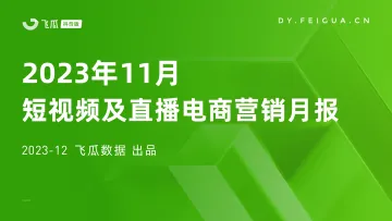 2023年11月短视频及直播电商营销月报-飞瓜数据 听光Vic