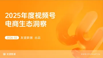 2025年度视频号电商生态洞察报告-友望数据 听光Vic