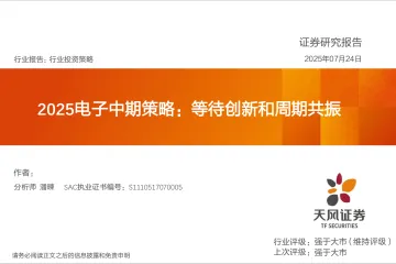 2025电子中期策略:等待创新和周期共振-天风证券 听光Vic