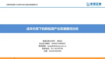 电力设备与新能源行业：成本约束下的新能源产业发展路径比较-20220329-东吴证券-56页