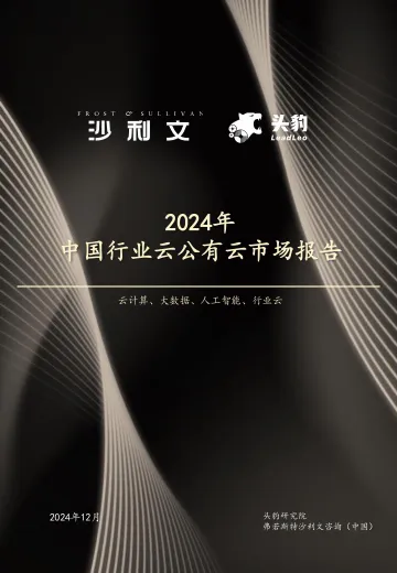 2024年中国行业云公有云市场报告-10页