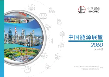 中国能源展望2060