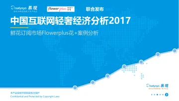 中国互联网轻奢经济分析4.26V3
