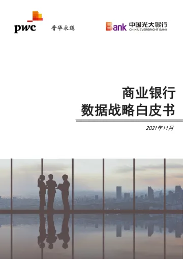 商业银行数据战略白皮书-28页