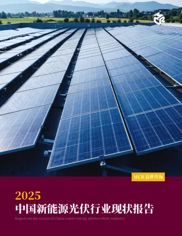 2025中国新能源光伏行业现状报告 听光Vic_1