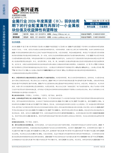 金属行业2026年度展望(Ⅲ):弱供给周期下的行业配置属性再探讨—小金属板块估值及收益弹性有望释放-东兴证券 听光Vic