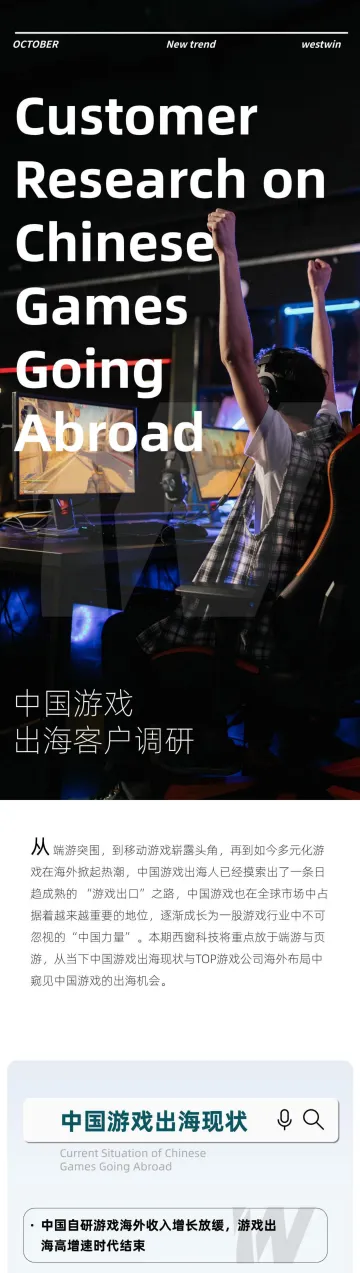 西窗科技-中国游戏出海客户调研-2023.11-13页-WN11