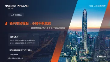储能全景图2024(下)户储工商储篇:新兴市场崛起,小储千帆竞发 听光Vic