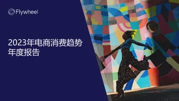 2023年电商消费趋势年度报告-飞未Flywheel 听光Vic_1