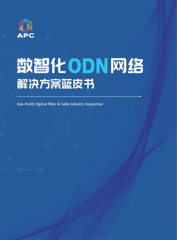 2024年数智化ODN网络解决方案蓝皮书-40页_1