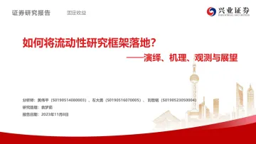 演绎、机理、观测与展望:如何将流动性研究框架落地?-20231108-兴业证券-88页