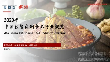 沙利文-2023年中国佐餐卤制食品行业概览 听光Vic_1