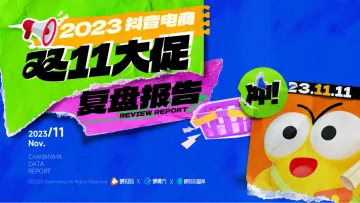 蝉妈妈智库：2023年双11复盘报告(1)-41页-WN11