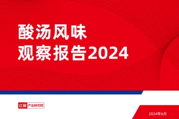 酸汤风味观察报告2024-红餐研究院 听光Vic_1