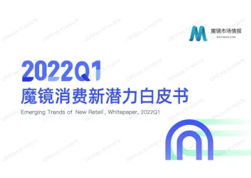 2022.05-2022Q1魔镜消费新潜力白皮书-魔镜市场情报-143页
