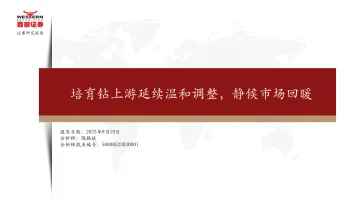 培育钻石行业:培育钻上游延续温和调整,静候市场回暖-20230919-西部证券-26页