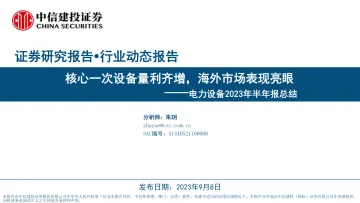 电力设备行业2023年半年报总结:核心一次设备量利齐增,海外市场表现亮眼-20230908-中信建投-33页