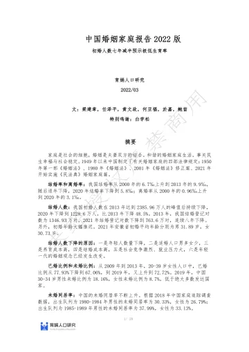 中国婚姻家庭报告2022版-育娲人口研究-2022.3-28页