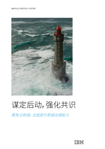 IBM-谋定后动,强化共识聚焦主数据,全面提升数据治理能力-15页-WN11