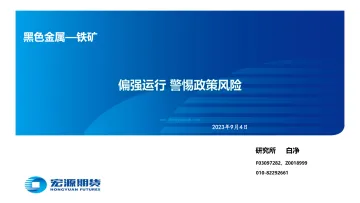 黑色金属_铁矿：偏强运行，警惕政策风险-20230904-宏源期货-29页_1