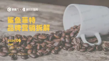 2024鲨鱼菲特品牌营销拆解报告-蝉妈妈