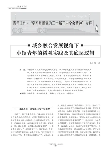 城乡融合发展视角下小镇青年的微观实践及其底层逻辑-9页_1