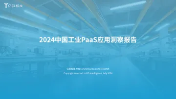 2024中国工业PaaS应用洞察报告 听光vic