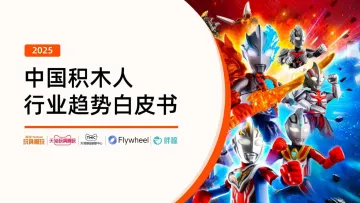 2025中国积木人行业趋势白皮书-飞未x天猫 听光Vic