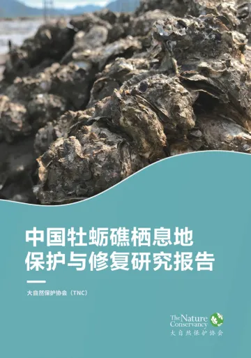 中国牡蛎礁栖息地保护与修复研究报告-2023.11-82页-WN11