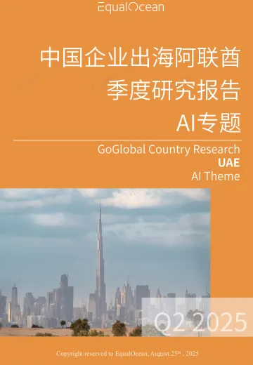 2025中国AI企业出海系列研究:阿联酋篇-Final 听光VIc