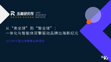 2025年中国出海零售品牌调研报告-36氪 听光Vic