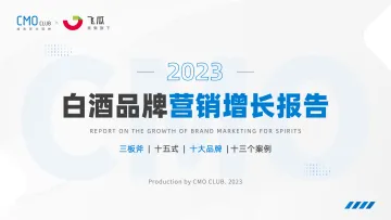 2023白酒品牌营销增长报告-133页-WN10
