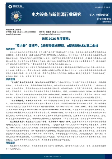 光伏2026年度策略:“反内卷”促扭亏,β修复看需求预期,α聚焦新技术&第二曲线-国金证券 听光Vic