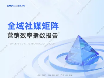 2025全域社媒矩阵营销效率指数报告-赛诺贝斯 听光Vic_1
