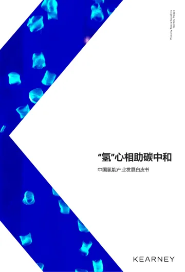 中国氢能产业发展白皮书-15页