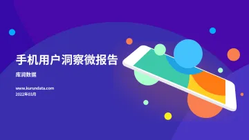 2022年手机用户洞察微报告-20页