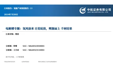 氢能产业深度报告(1):电解槽专题:氢风徐来 百花绽放,朔源而上 千树结果-中航证券