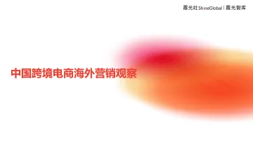2024中国跨境电商海外营销观察报告-霞光智库 听光Vic.pdf
