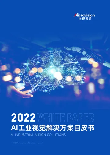 2022年AI工业视觉解决方案白皮书-2023.11-60页-WN11