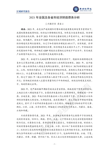 上海新世纪-2021年全国及各省市经济财政债务分析-14页