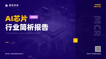 嘉世咨询-2023AI芯片行业发展简析报告-2023.11-17页-WN11