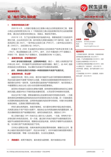 城投随笔系列:论“央行SPV与化债”-20230912-民生证券-16页
